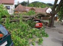Kwikfynd Tree Cutting Services
robinhill
