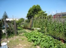Kwikfynd Vegetable Gardens
robinhill